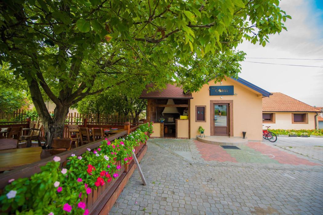 Vila Chess Beograd Bagian luar foto